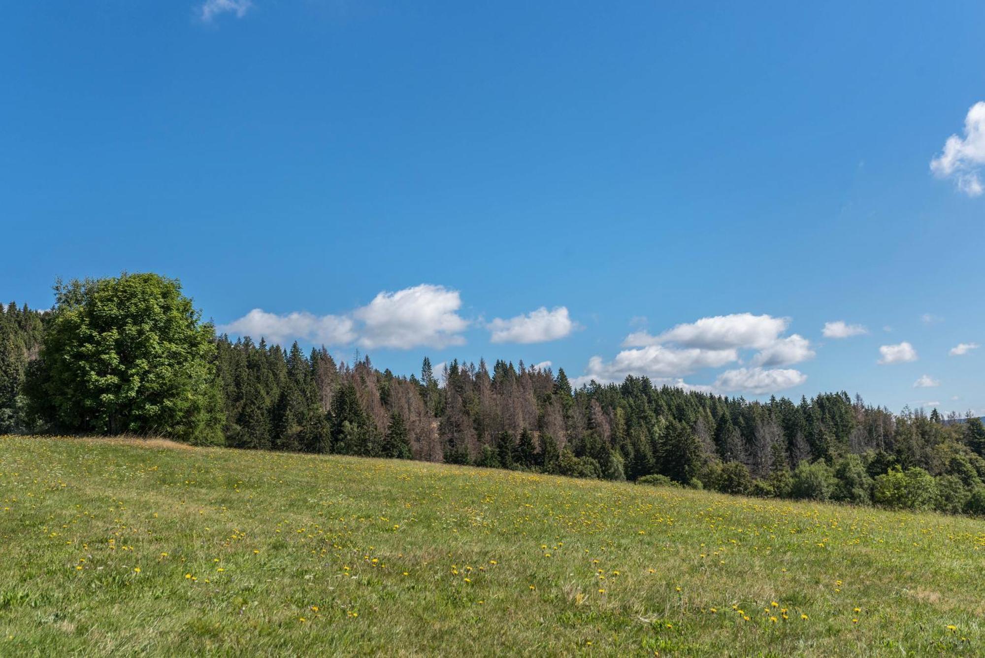 UrbergHaus Iseleアパートメント エクステリア 写真